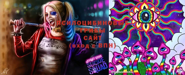 прущая мука Беломорск