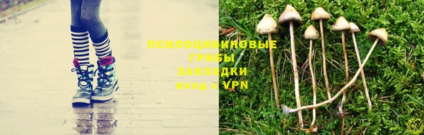 герыч Бугульма